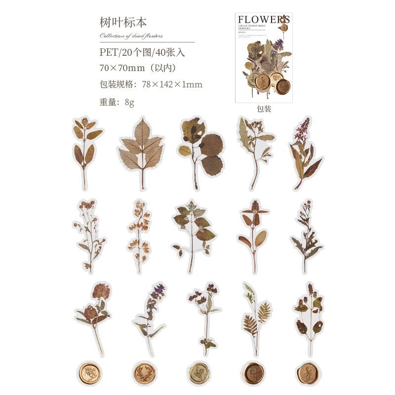 Simple Dried Flower Account Decoration Material Stickers